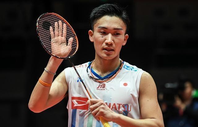 并稳定关节 并稳定关节